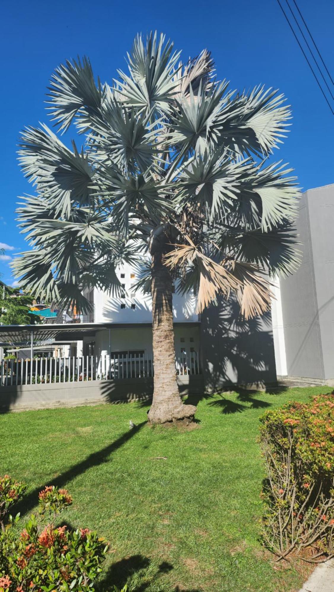 Apartasol Club Ciudadela Santa Fe - Santa Fe De Antioquia Luaran gambar